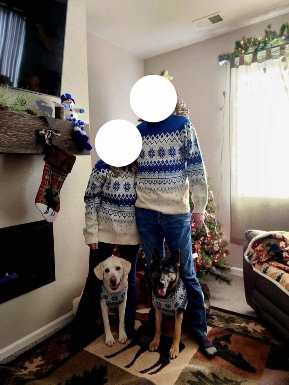 Cozy Blue & Cream Nordic Knit Dog and Human Sweater Bundle